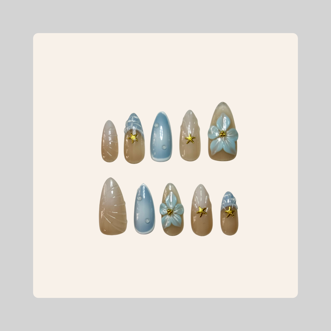 2.5 Almond Soft Blue Seashells